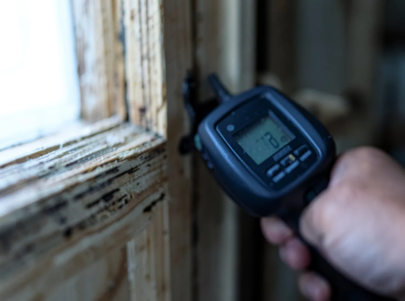 Commercial Water Damage Restoration in Belle Mead, NJ